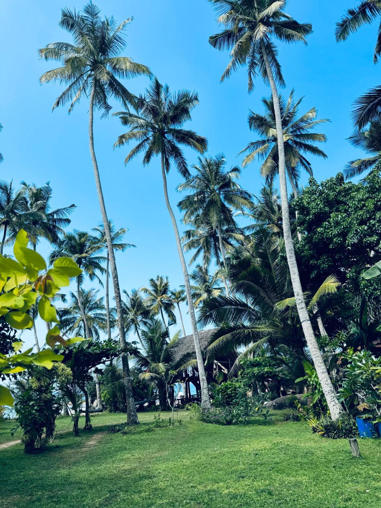 Villa La Kurumba Ambalangoda  Exterior foto